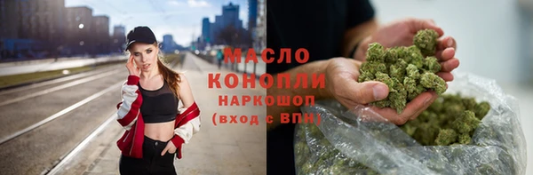 стаф Козельск