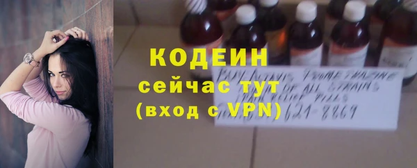 стаф Козельск