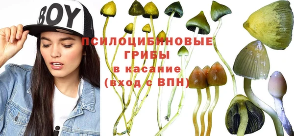 мяу мяу кристалл Козловка