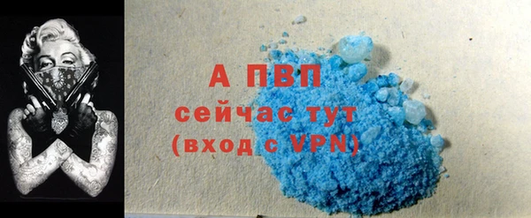 стаф Козельск