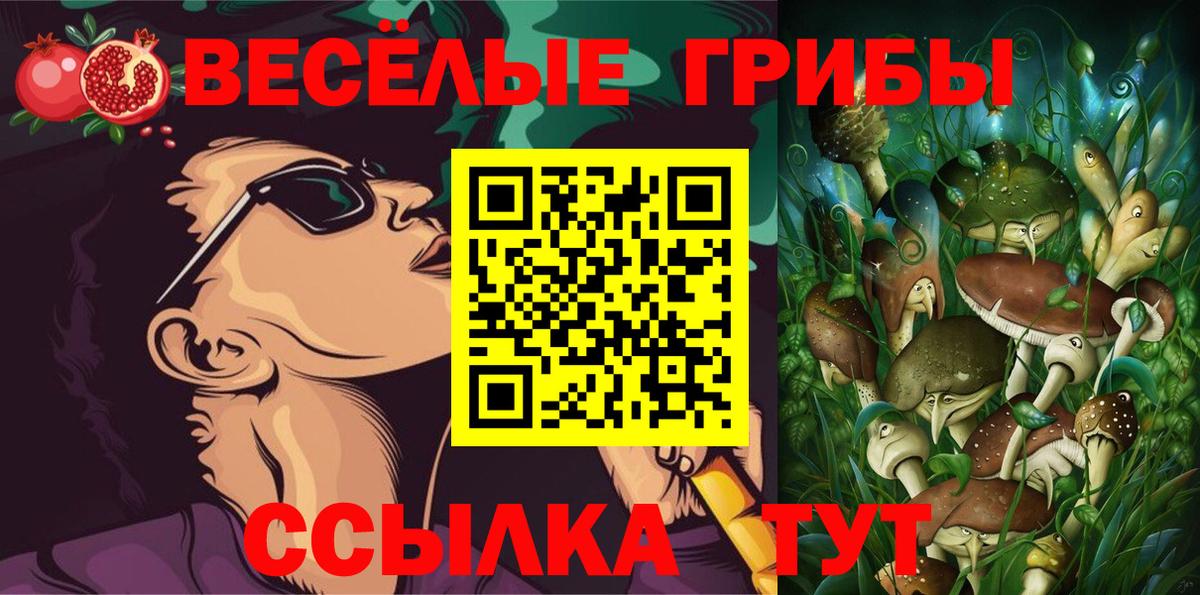 купить наркоту  Галлюциногенные грибы Psilocybe  Вход с VPN  Ангарск  Псилоцибиновые грибы Psilocybine cubensis 