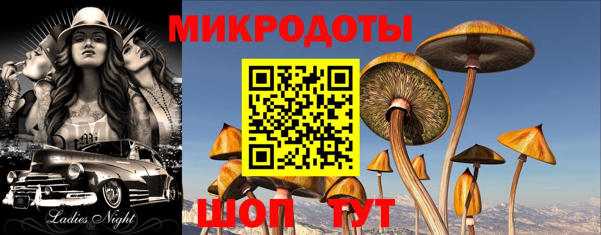 Псилоцибиновые грибы GOLDEN TEACHER  Псилоцибиновые грибы Magic Shrooms  Вход с VPN  Ангарск 