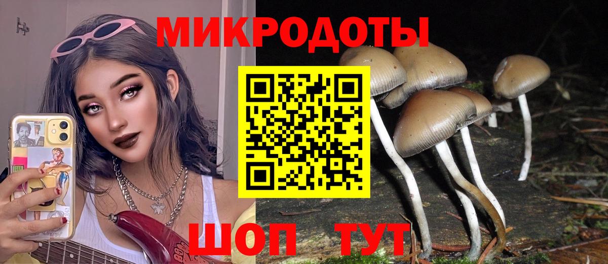 Галлюциногенные грибы Magic Shrooms Ангарск