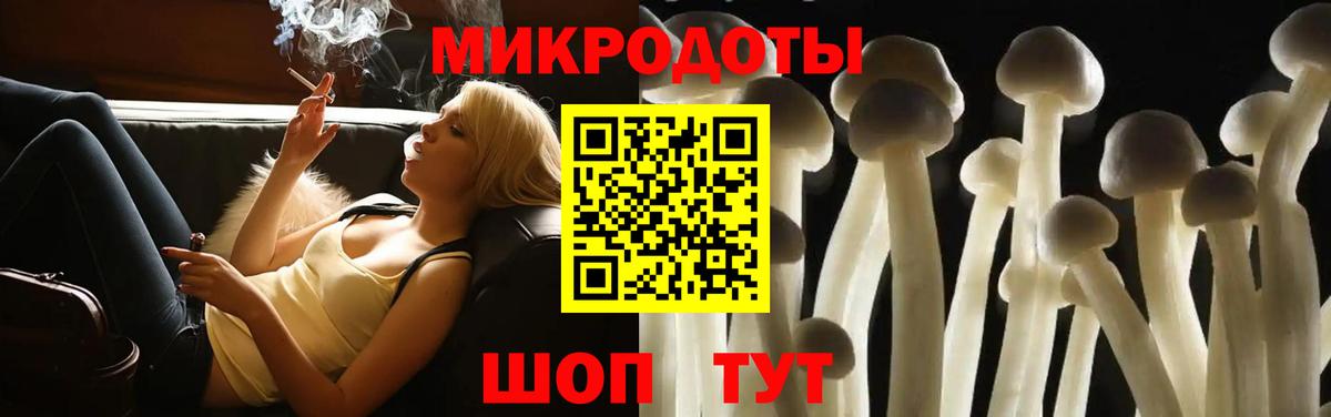Галлюциногенные грибы Psilocybine cubensis Ангарск
